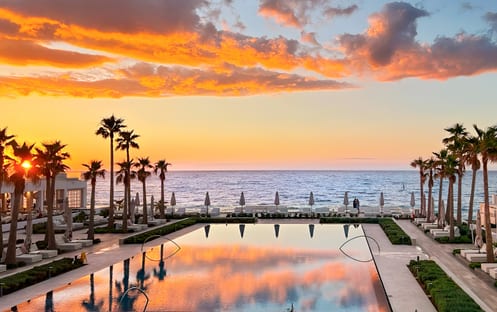 Fico D'India Italian Restaurant